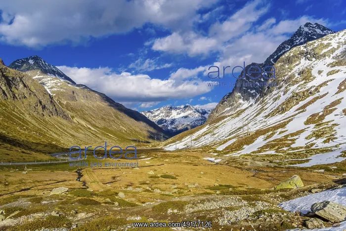 : Alps mountains with snow Bivio : Alps mountains with snow Bivio