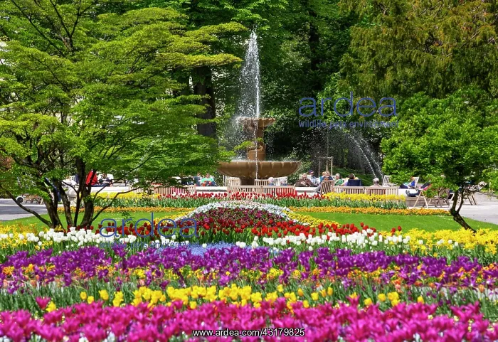 : Alps Solespringbrunnen in the spa gardens Bad Reichenhall : Alps Solespringbrunnen in the spa gardens Bad Reichenhall