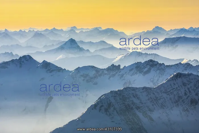 : Alps, on the summit of the Zugspitze in winter : Alps, on the summit of the Zugspitze in winter