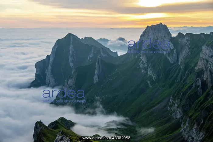 : Alpstein, valley of Meglisalp at sunrise, high fog : Alpstein, valley of Meglisalp at sunrise, high fog