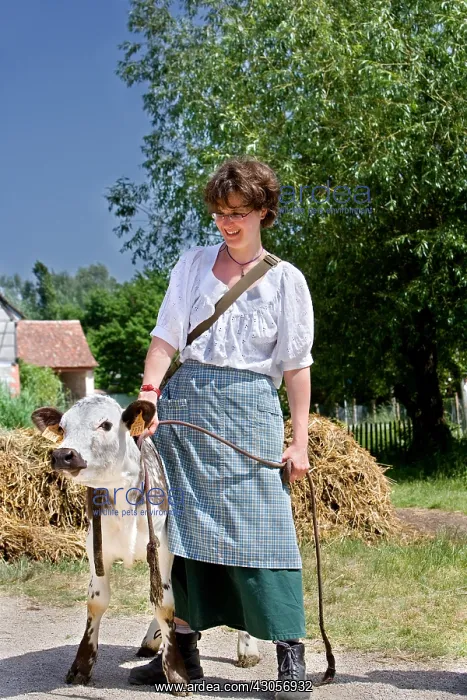 : Alsatian dressed as peasants and Veal France : Alsatian dressed as peasants and Veal France
