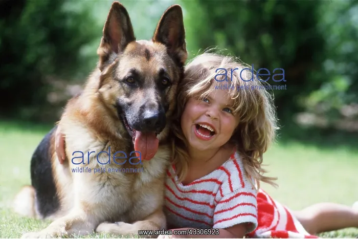 : ALSATIAN / GERMAN SHEPHERD DOG - with girl : ALSATIAN / GERMAN SHEPHERD DOG - with girl