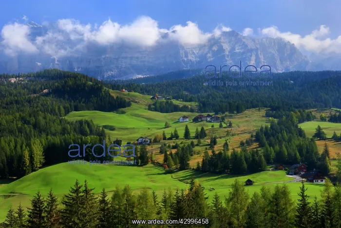 : Alta Badia - mountain scenery near the village : Alta Badia - mountain scenery near the village