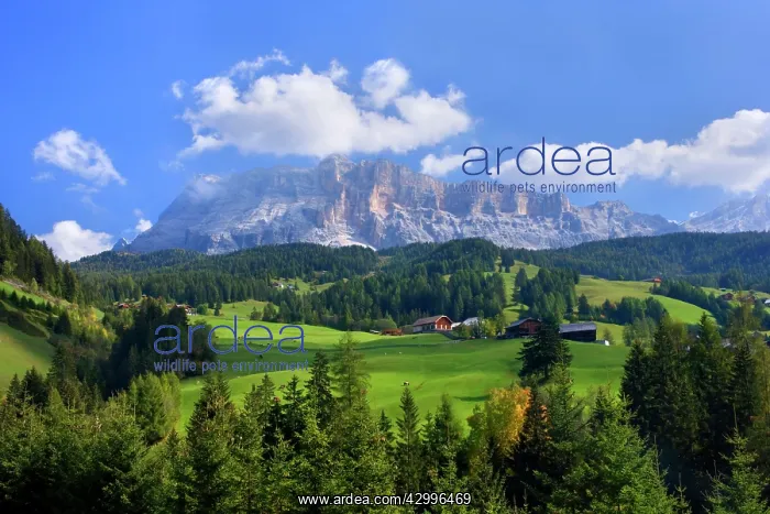 : Alta Badia - mountain scenery near the village : Alta Badia - mountain scenery near the village