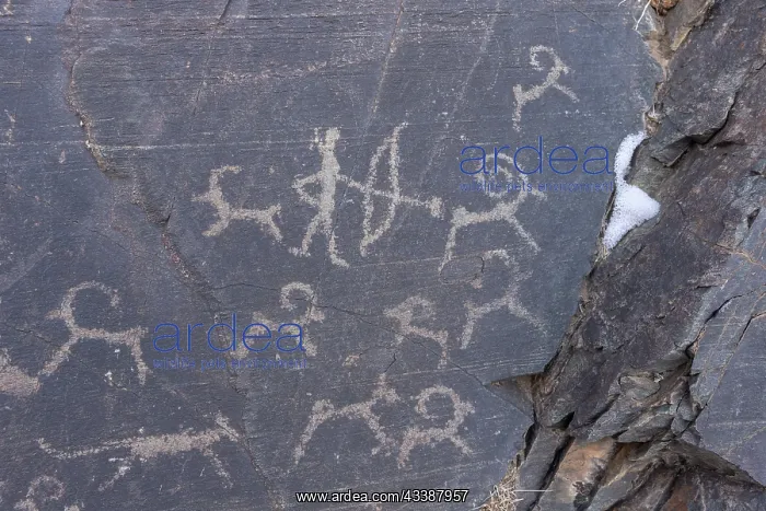 : ALTAI MOUNTAINS, VALLEY OF ROCK CARVINGS, CARVINGS : ALTAI MOUNTAINS, VALLEY OF ROCK CARVINGS, CARVINGS