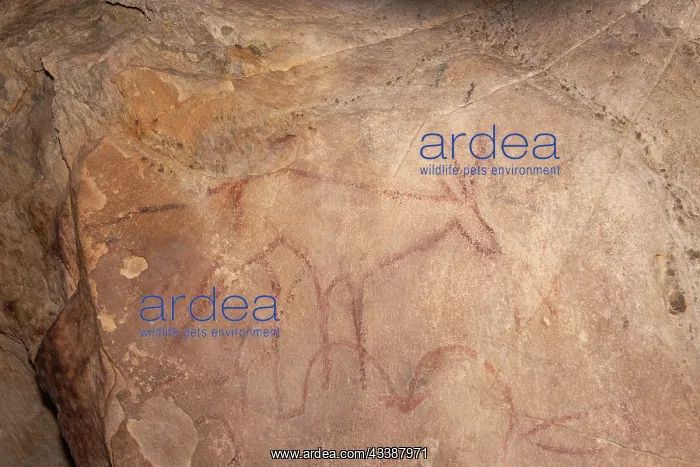: ALTAI MOUNTAINS, VALLEY OF ROCK PAINTINGS, PAINTINGS : ALTAI MOUNTAINS, VALLEY OF ROCK PAINTINGS, PAINTINGS
