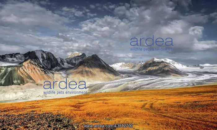 : Altai Mountains. Western Mongolia, Bayan Ulgii Province : Altai Mountains. Western Mongolia, Bayan Ulgii Province