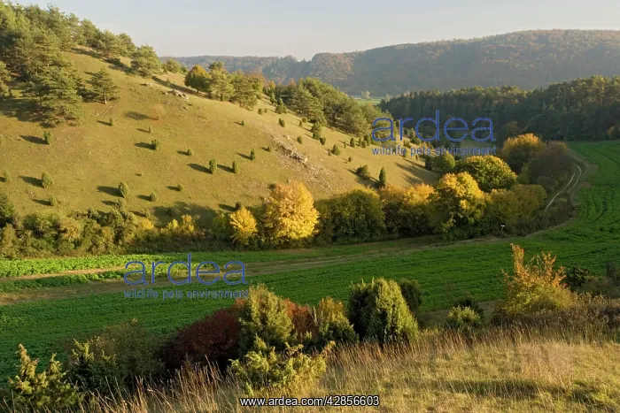 : The Altmuhltal Naturpark, Germany : The Altmuhltal Naturpark, Germany