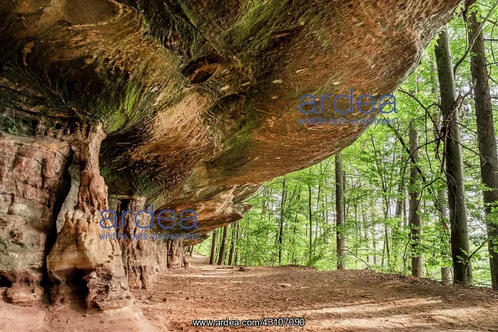 : Altschlossfelsen, Palatinate Forest, Rhineland Palatinate : Altschlossfelsen, Palatinate Forest, Rhineland Palatinate