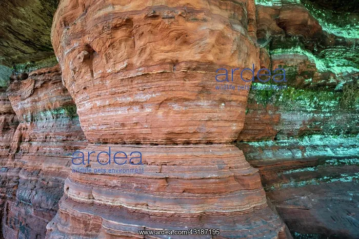 : Altschlossfelsen, Palatinate Forest, Eppenbrunn : Altschlossfelsen, Palatinate Forest, Eppenbrunn