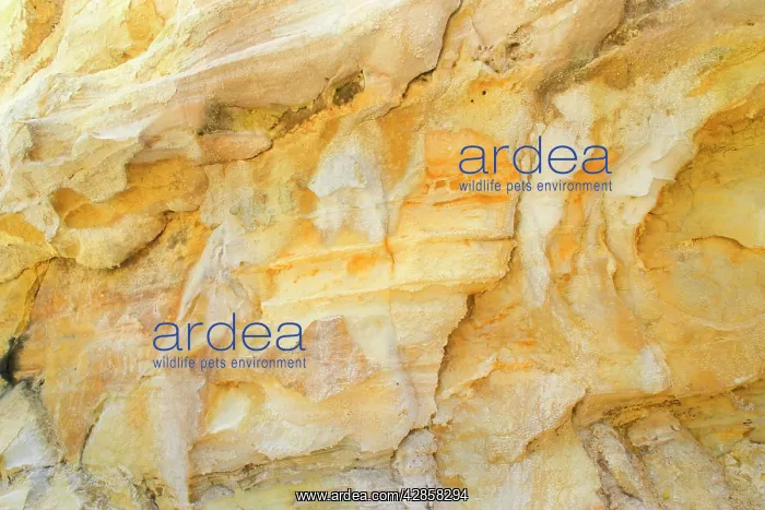 : Alum Cliffs - close-up of cliffs of alum whose : Alum Cliffs - close-up of cliffs of alum whose