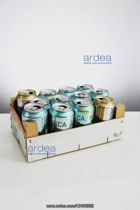: Aluminum Cans for Recycling : Aluminum Cans for Recycling