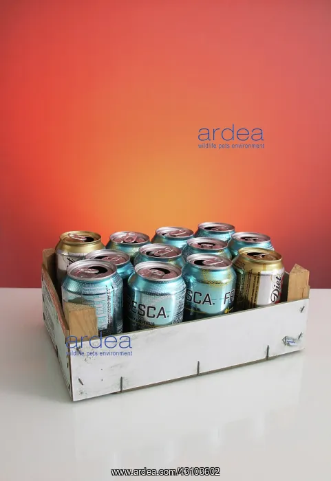 : Aluminum Cans for Recycling : Aluminum Cans for Recycling