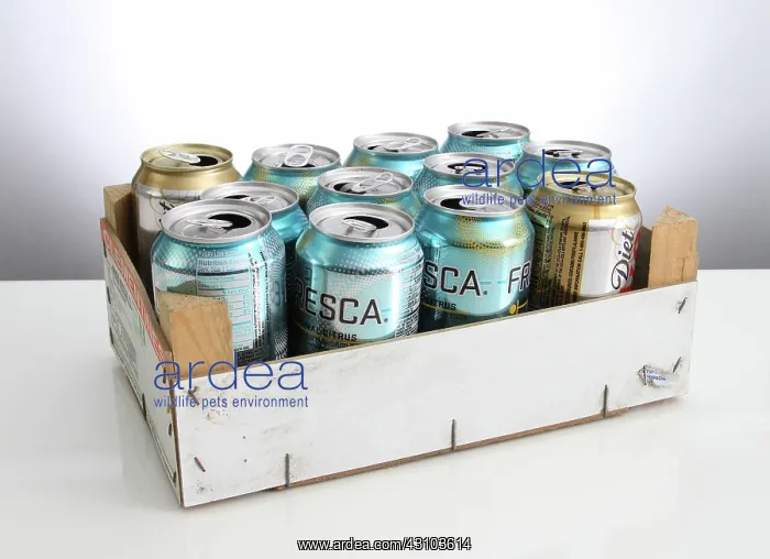 : Aluminum Cans for Recycling : Aluminum Cans for Recycling