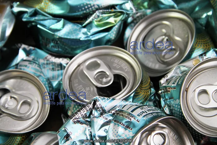 : Aluminum Cans for Recycling : Aluminum Cans for Recycling