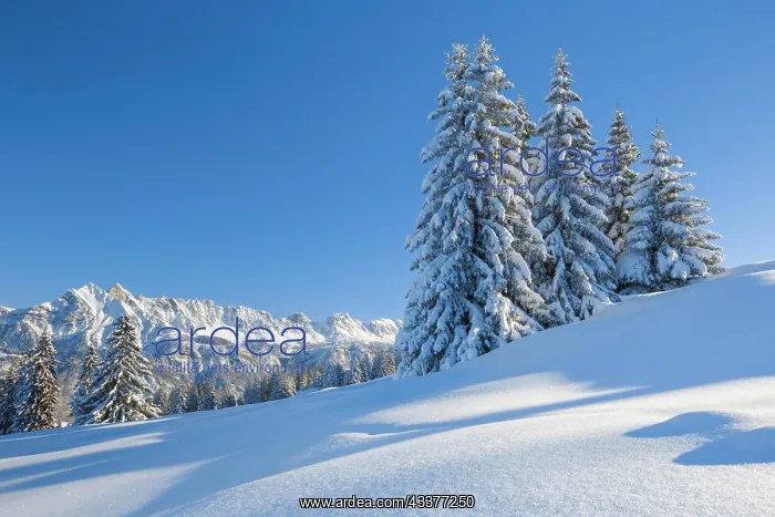 : Alvier Group, St. Gallen, Switzerland, Europe : Alvier Group, St. Gallen, Switzerland, Europe