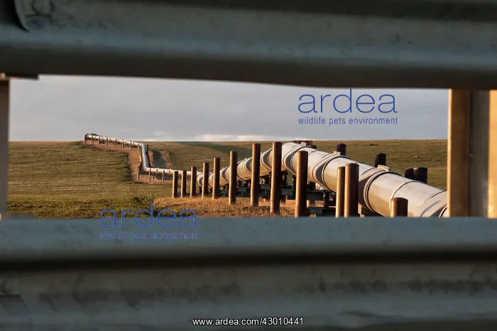 : Alyeska Oil Pipeline from Prudhoe Bay to Valdez : Alyeska Oil Pipeline from Prudhoe Bay to Valdez