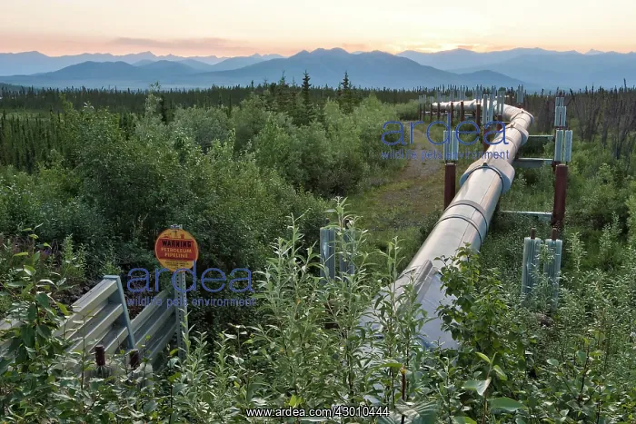 : Alyeska Oil Pipeline from Prudhoe Bay to Valdez : Alyeska Oil Pipeline from Prudhoe Bay to Valdez