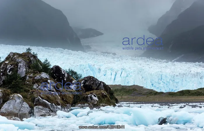  : Amalia  /  Skua Glacier