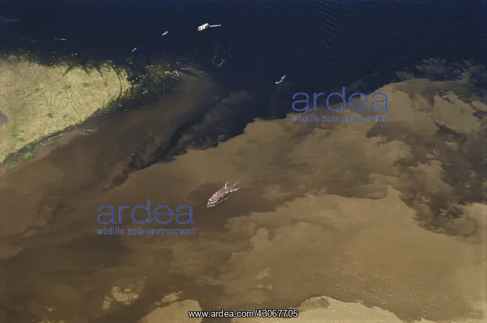 : Amazon River & Rio Negro : Amazon River & Rio Negro