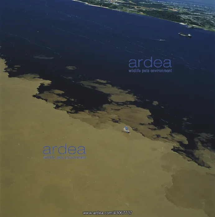  : Amazon River & Rio Negro