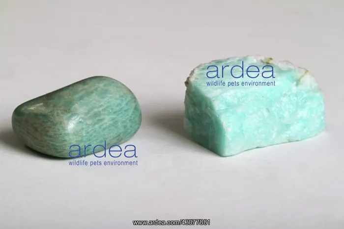 : Amazonite. The mineral amazonite, a variety of microcline : Amazonite. The mineral amazonite, a variety of microcline