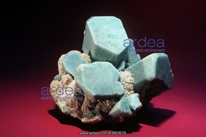 : Amazonite from Florissant, Colorado : Amazonite from Florissant, Colorado