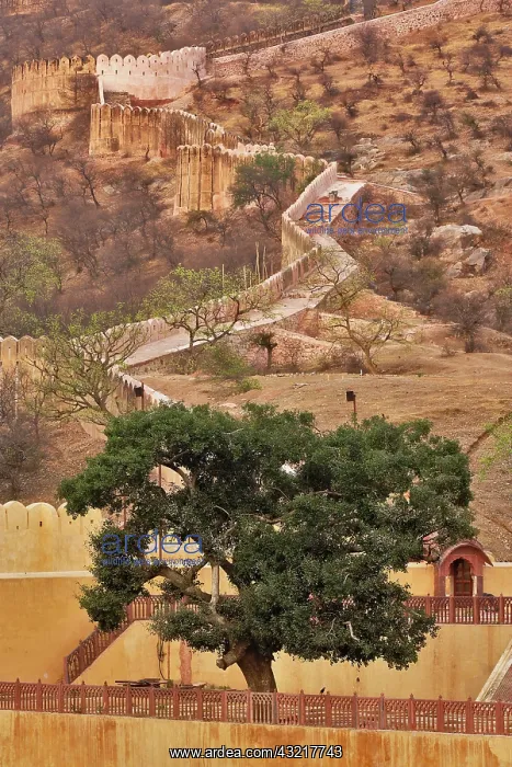 : Amber Fort, Jaipur, India : Amber Fort, Jaipur, India