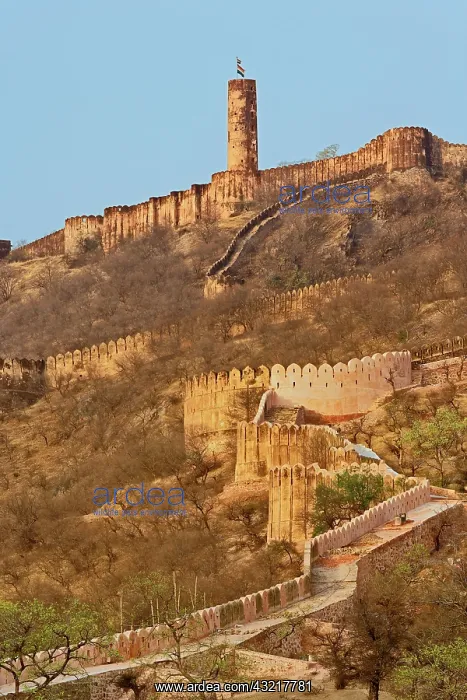 : Amber Fort, Jaipur, India : Amber Fort, Jaipur, India