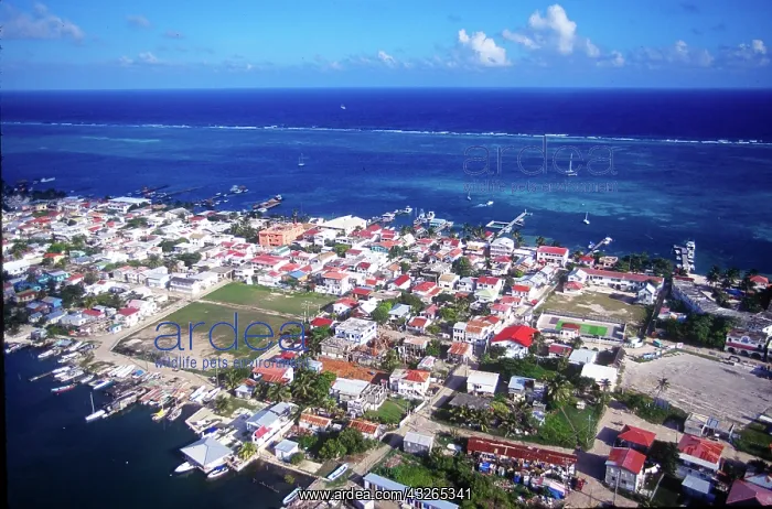 : Ambergris Caye, Belize, Central America : Ambergris Caye, Belize, Central America
