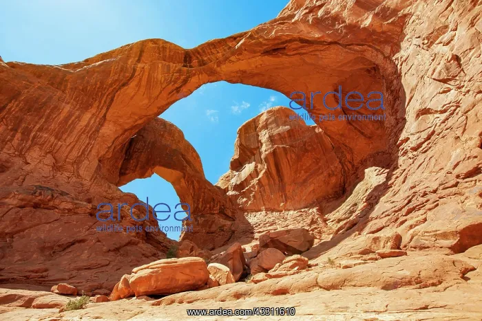: American, arch, Arches National Park, attraction, barren, barrenn : American, arch, Arches National Park, attraction, barren, barrenn