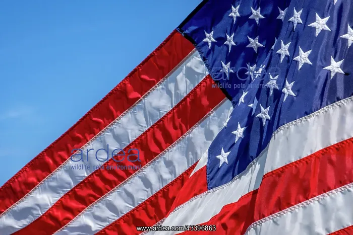 : American flag : American flag