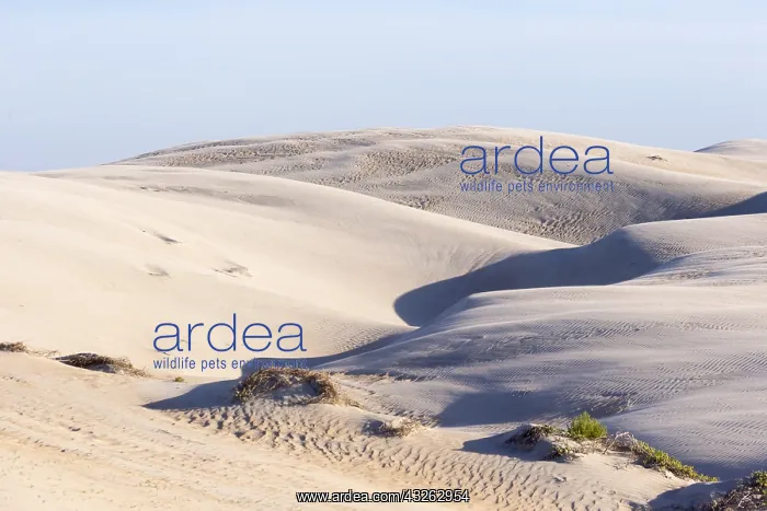 : Amerique centrale, Mexique, Basse Californie : Amerique centrale, Mexique, Basse Californie