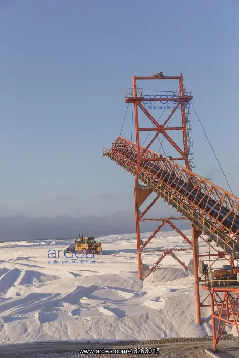 : Amerique centrale, Mexique, Basse Californie : Amerique centrale, Mexique, Basse Californie