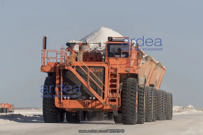 : Amerique centrale, Mexique, Basse Californie : Amerique centrale, Mexique, Basse Californie