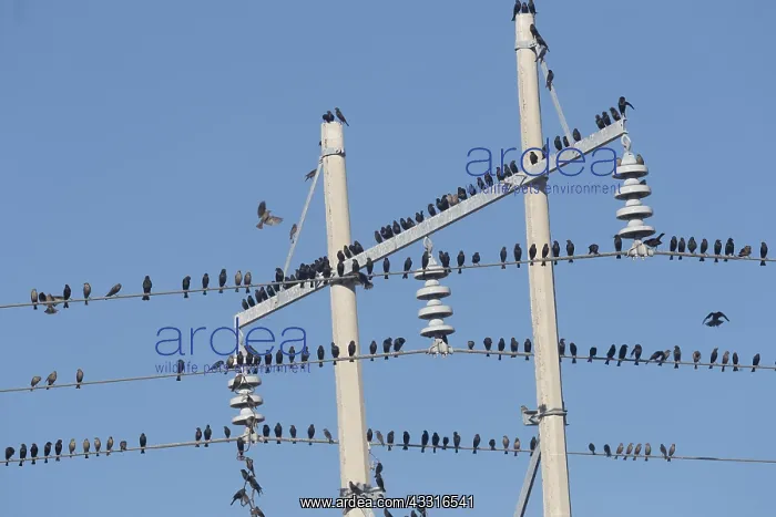  : Amerique centrale, Mexique, Basse Californie