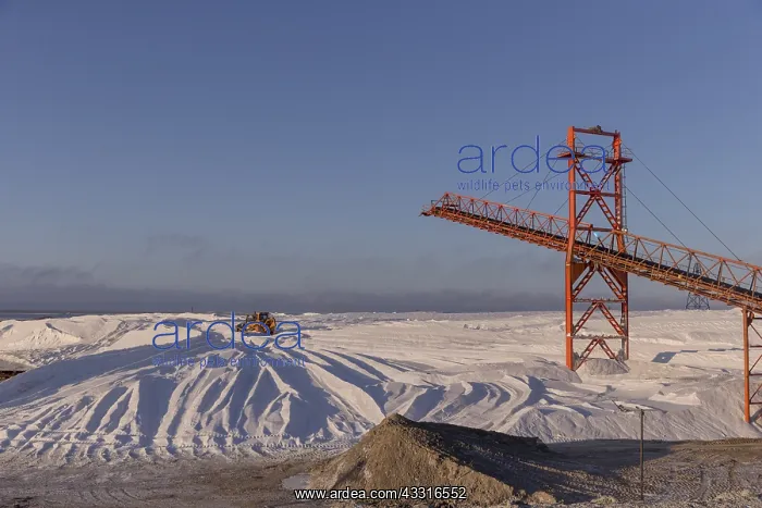 : Amerique centrale, Mexique, Basse Californie : Amerique centrale, Mexique, Basse Californie