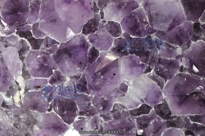 : Amethyst, a form of quartz : Amethyst, a form of quartz
