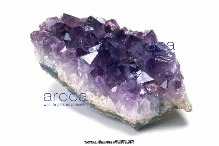 : Amethyst crystals : Amethyst crystals