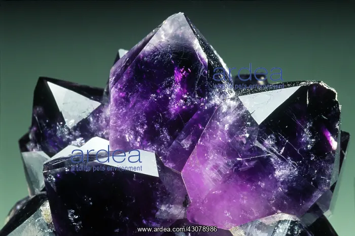 : Amethyst is a purple or violet variety of quartz used as a gem : Amethyst is a purple or violet variety of quartz used as a gem