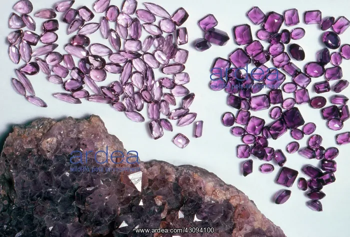 : Amethyst, rough and cut, from Bahia, Brazil : Amethyst, rough and cut, from Bahia, Brazil
