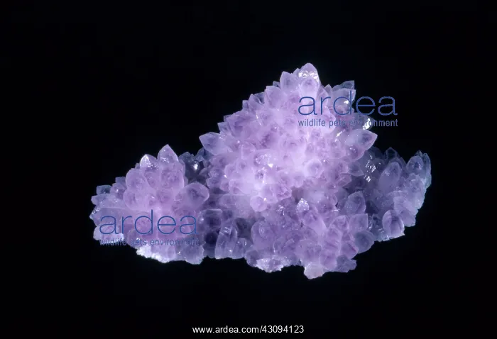 : Amethyst. An impressive piece of amethyst from Mexico : Amethyst. An impressive piece of amethyst from Mexico