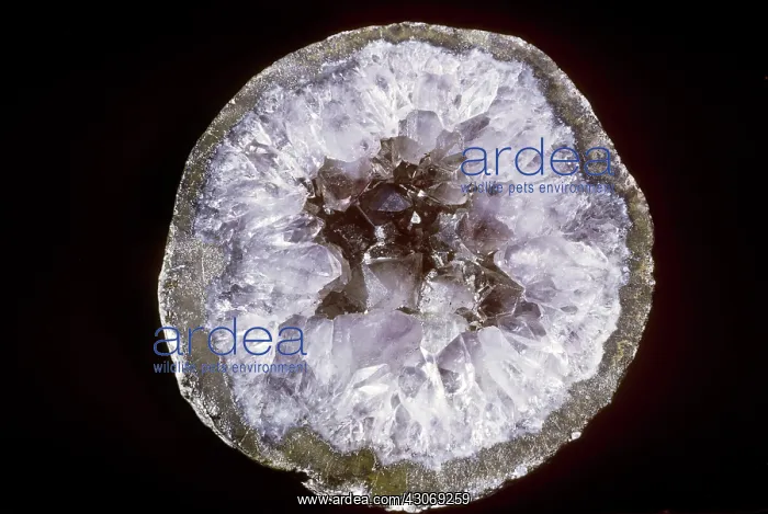 : Amethyst Geode : Amethyst Geode