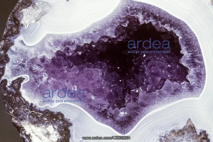 : Amethyst Geode : Amethyst Geode