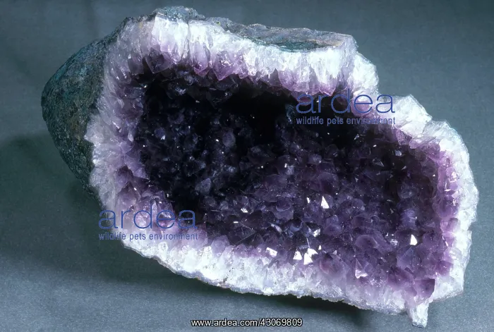 : Amethyst Geode : Amethyst Geode