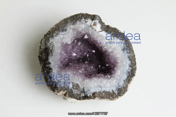 : Amethyst Geode : Amethyst Geode