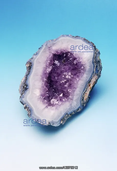 : Amethyst Geode : Amethyst Geode