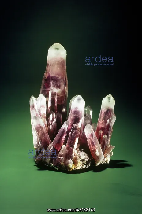 : Amethyst from Guerrero, Mexico : Amethyst from Guerrero, Mexico