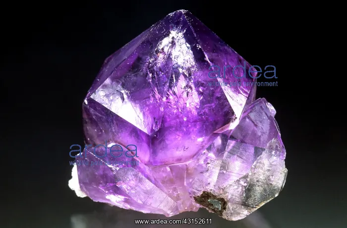  : Amethyst From Magadan, Siberia