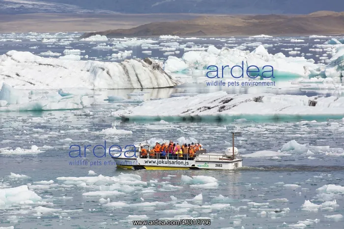 : Amphibious vehicle with tourists in Joekusarlon : Amphibious vehicle with tourists in Joekusarlon